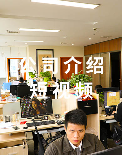 成都點石成金餐飲管理有限公司介紹視頻